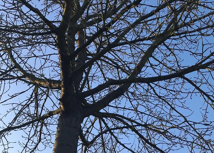 Holz-blockhaus Blens Rureifel Very Cosy Wooden Blockhome Prázdninový dům